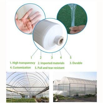 فیلم گلخانه ای