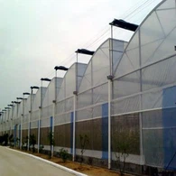 گلخانه فیلم سقف اره